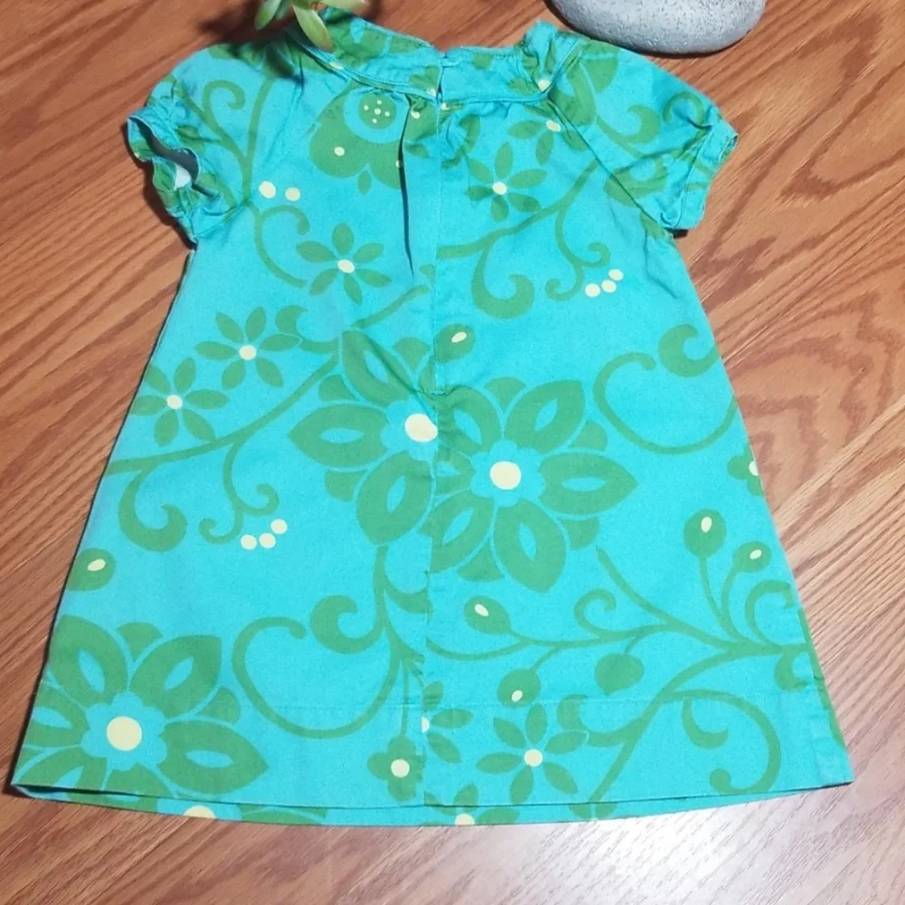 Baby gap dress only‎ size 2t
